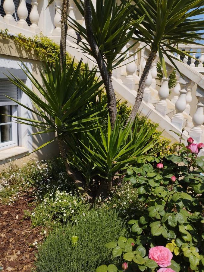 Villa Flora Superior Apartment Cabris Buitenkant foto