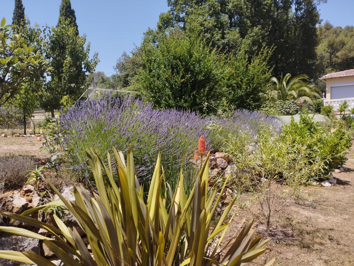 Villa Flora Superior Apartment Cabris Buitenkant foto